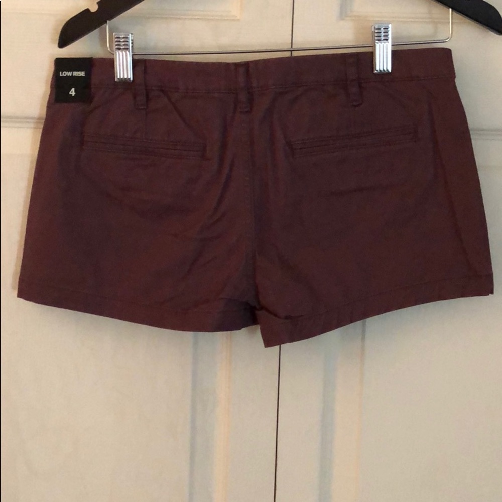 Express Shorts